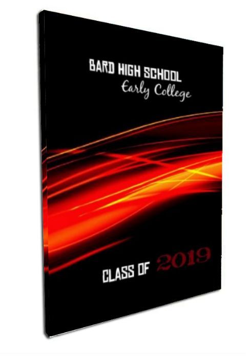 Bard High School Early College Newark 2019