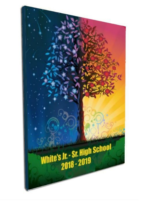 White's Jr. Sr. High School 2019 Yearbook